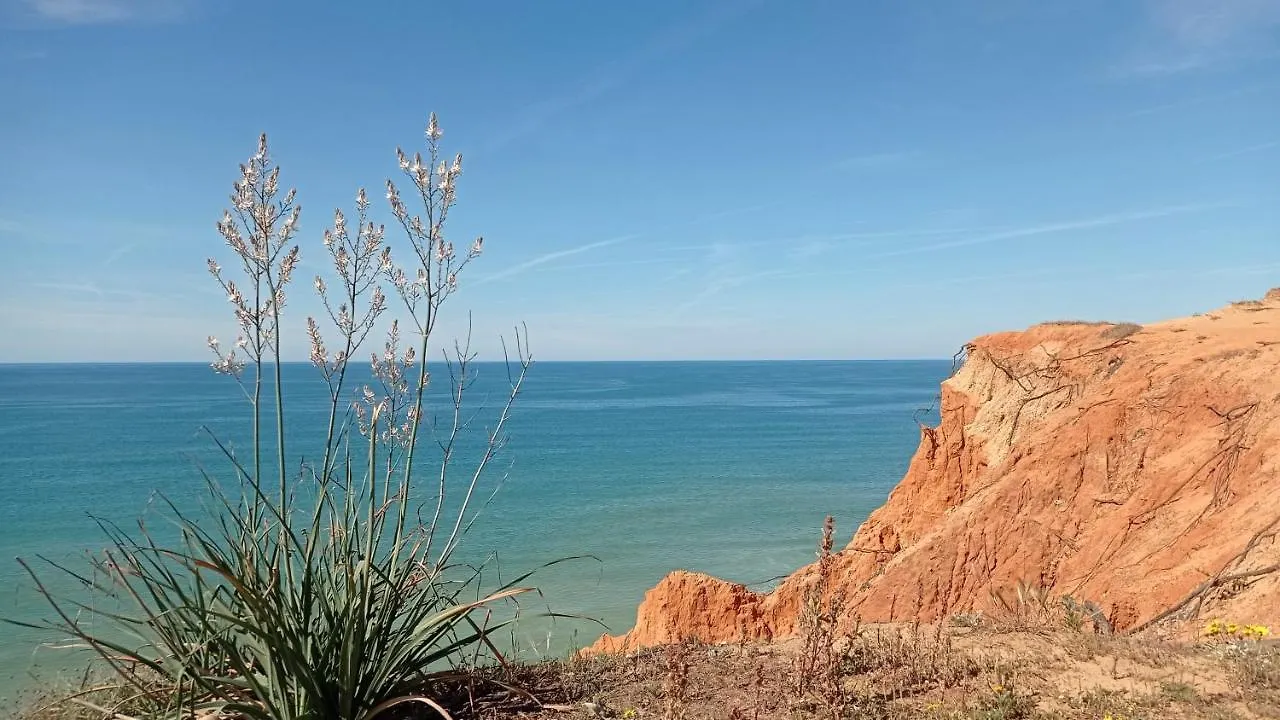 Apartment Your House At Falesia Albufeira